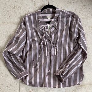 Anthropologie Pilcro Taupe and White Striped Blouse